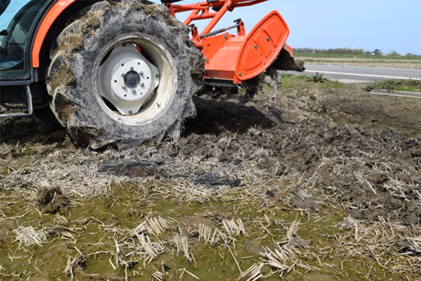 �~�̓c�N�����̕��@