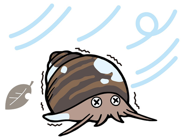 �ϊ����Ɖz�~����