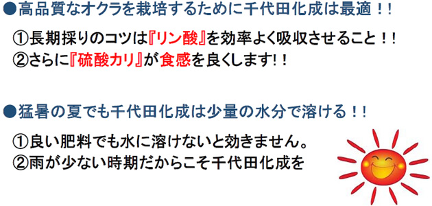 ●高品質なオクラを栽培するために千代田化成は最適!! (1)長期採りのコツは『リン酸』を効率よく吸収させること!! (2)さらに『硫酸カリ』が食感を良くします!! ●猛暑の夏でも千代田化成は少量の水分で溶ける!! (1)良い肥料でも水に溶けないと効きません。 (2)雨が少ない時期だからこそ千代田化成を