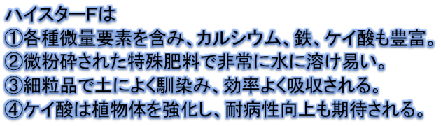 ハイスターFは