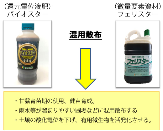 バイオスター+フェリスター