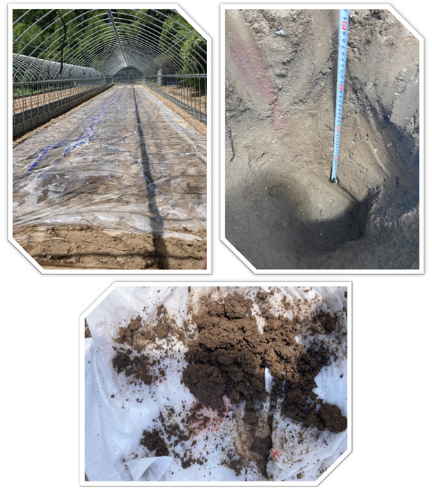 �����ޏ�