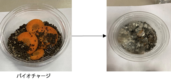 �j���W���̎c�ԏ���