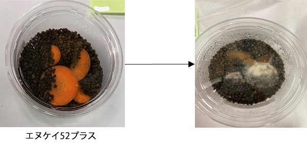 ニンジンの残渣処理