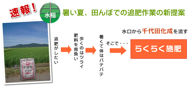 田んぼでの追肥作業の新提案