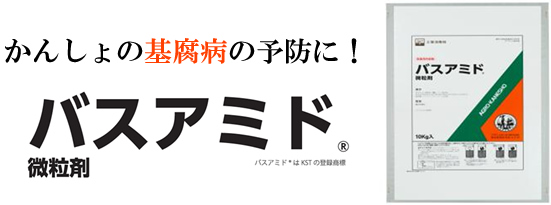 �o�X�A�~�h