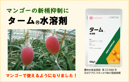 �^�[�����n��