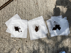 �W�r���W����������