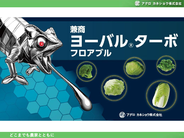 ���[�o��