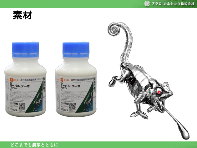 ���[�o��