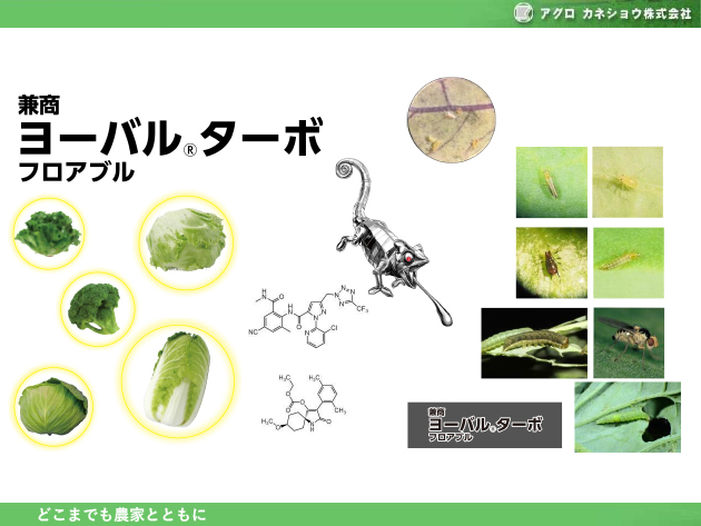 ���[�o��