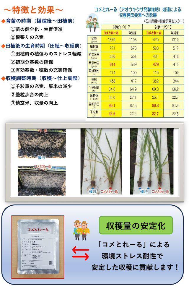 �R���Ƃ�[��