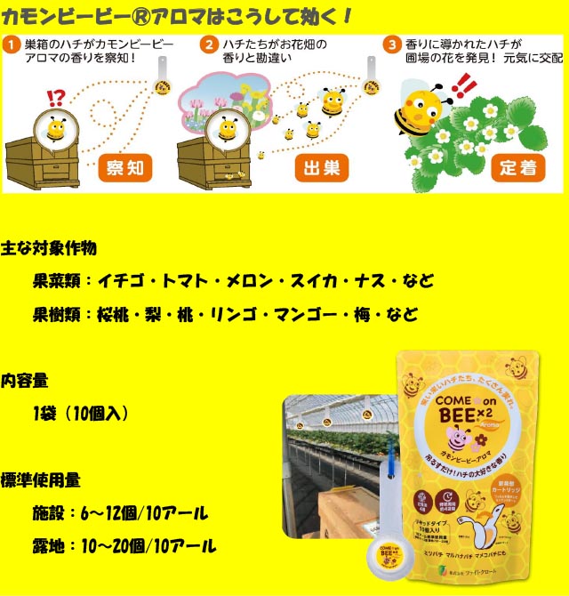 �J�����r�[�r�[�A���}